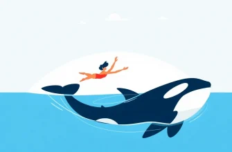 Melodramas com Orcas: 10 Filmes para Apaixonados