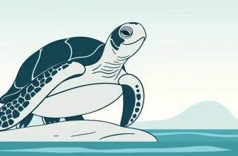 Melodramas com Tartarugas: Uma Jornada Emocional
