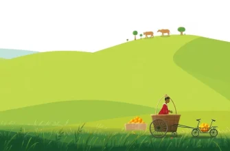 Filmes sobre a vida rural: Uma jornada pelo campo