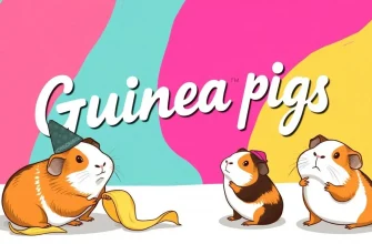 Comédias com Guepardos: Rir e Aprender